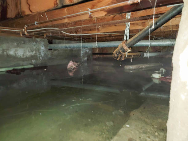 Best Commercial water damage restoration  in Oakland, OK