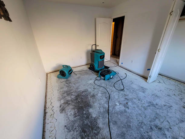 Best Water damage restoration process  in Oakland, OK