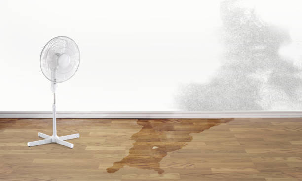 Best Carpet water damage restoration  in Oakland, OK