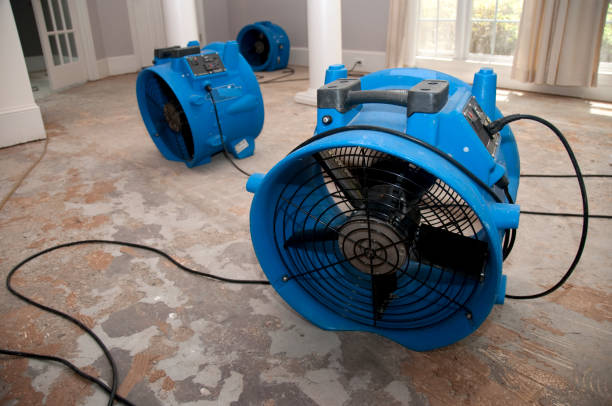 Best Water damage restoration near me  in Oakland, OK