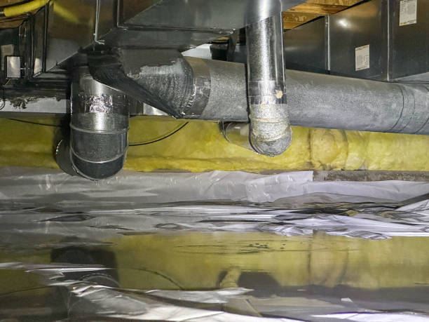 Best Mold removal after water damage  in Oakland, OK