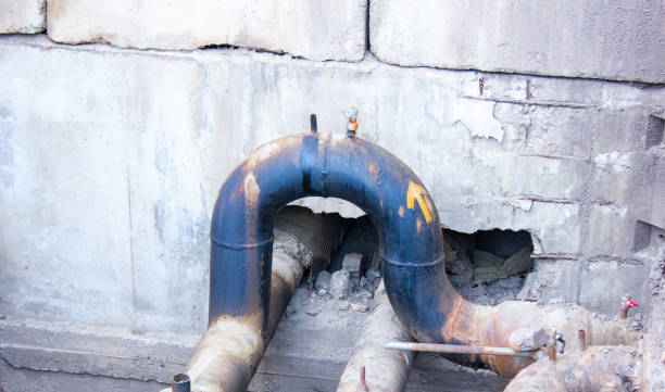 Best Professional water damage repair  in Oakland, OK